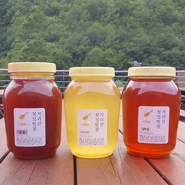 Jiri Mountain 100% natural honey acacia honey 1.2kg / 지리산 100% 천연벌꿀 아카시아꿀 1.2kg