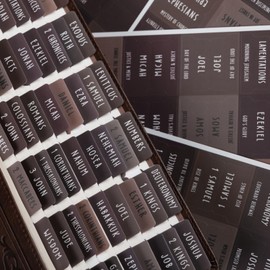 UPAFEXXI-Laminated Bible Tabs with Book Summaries, Bible Tabs for Women and Men, Reposition Large Print Stickers, Easy to Read, 80Chapters Labels for Easy Navigation(Brown)