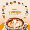 Cold Brew Mushrooms Coffee 14 in 1-60 Servings, Arabica Coffee
