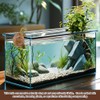Turtle Statue Tortoise Figurine Plant Pot Hanger, Mini Climbing Turtle