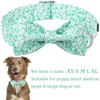 Unique style paws Summer Dog Collar with Bow Tie, Green,