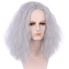 Boys Grey Fluffy Wigs Long Silver Gray Wavy Curly Wigs
