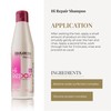 SALERM - Repair Shampoo - Hi Repair Shampoo - 250