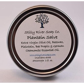 Plantain Salve for Stings, Bites & Rash