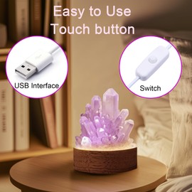 Gantok Amethyst Night Light Natural Healing Crystal Bedside Lamp Mini Soft Warm LED Night Lamp with Wooden Base Bedroom Lamps Suitable Night Light for Living Room Bedroom Office Home Decor