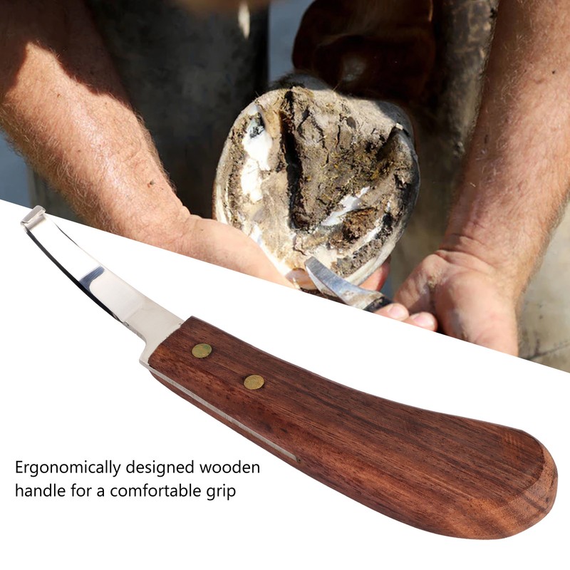 Steel Hoof Knife with Wooden Handle Pointed Cattle Livestock Hand