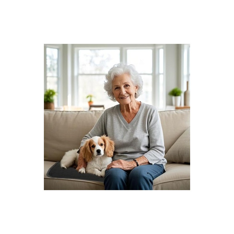 GRUENERDE GRUENERDE 2pcs Waterproof Chair Pads for Incontinence Washable Seat