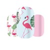 Pet Nail Polish Wraps