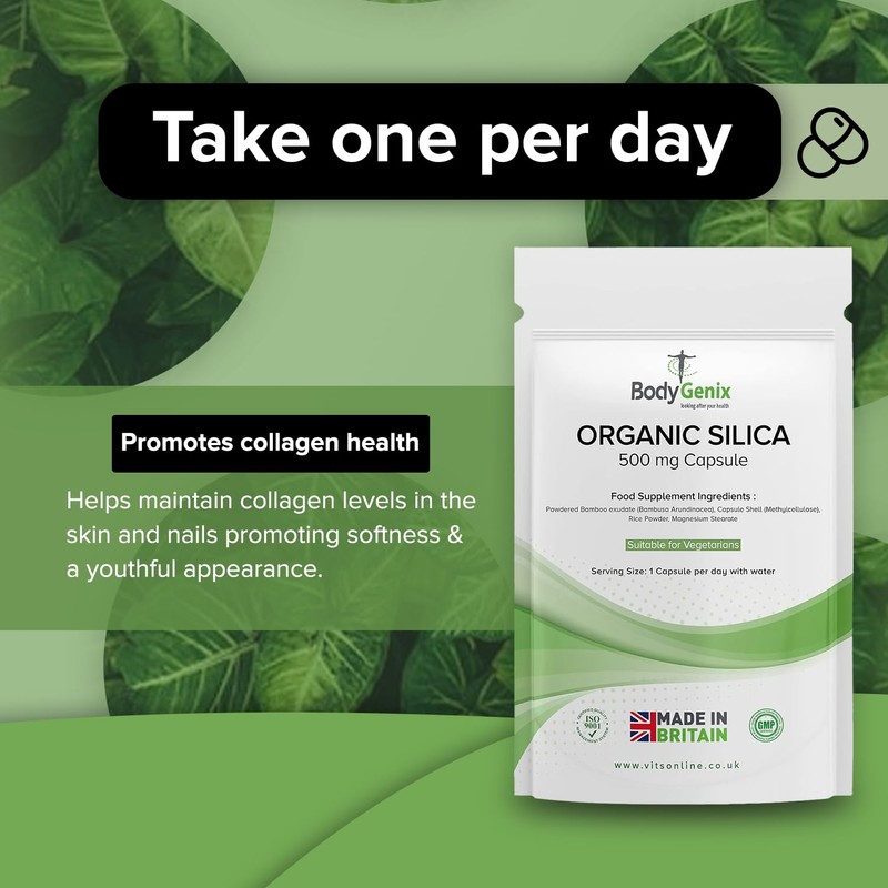 Bodygenix Silica 500mg Capsules Silicon Bamboo Extract Rich Supplement (120)