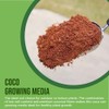 Coco Coir for Plants 1-Pack – 2.6 Cu. Ft. Compressed