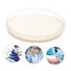 ULTECHNOVO 10pcs Nutrient Agar Plates Petri Dishes Agar Medium for