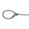 Martha Stewart Braided Rope & Leather Slip Lead for Dogs,