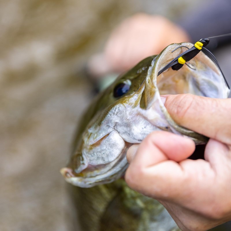 SF Welded Tapered Leader Fly Fishing with Loop Nylon 9ft