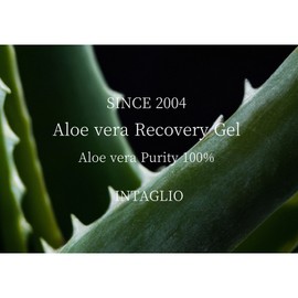 INTA 100% Aloe Vera Recovery Gel 120g, 120ml, Pack of 2