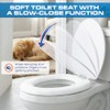 Plexon Soft Cushioned Toilet Seat, Elongated White, Slow-Close Lid &