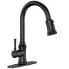 Kitchen Faucet with Pull Down Sprayer, Single Handle High Arc