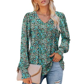 ROSELINLIN Womens Dressy Casual Shirts Long Sleeve Fall Tunic Tops Painted Blue XXL