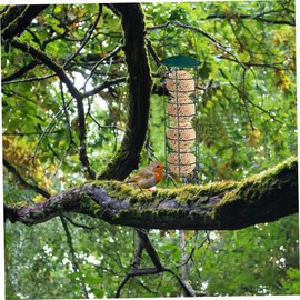 Suet Ball Feeder, 9.5 Inch Suet Bird Feeders for Outdoors Hanging, Rustproof Metal Suet Holder, Cylinder Bird Feeder, Portable Bird Feeders for Garden Spring Gardening Tool