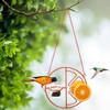 AIMALL Decorative Hummingbird Feeder with Orange Citrus Design – 7.08”
