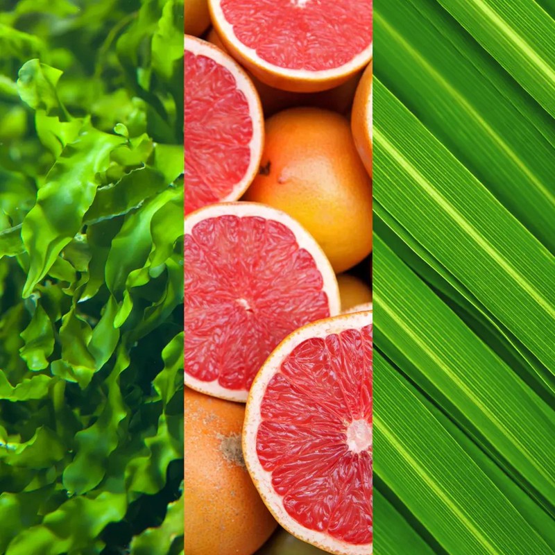 Mario Badescu Alpha Grapefruit Cleansing Lotion, 8 Fl Oz