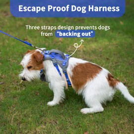 Huntboo Reflective Dog Harness with Handle, Escape Proof, No Slip, Breathable, Lightweight, Adjustable Lift Harness for Small, Medium, and Large Dogs Walking, Training, and Running Gear(Sea Blue,S)