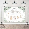 Joliaco Clothes Baby Shower Backdrop Green Eucalyptus Baby Shower Background
