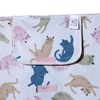 Puckator PICB01 Cat's Life Picnic Blanket, Foldup, Camping Picnics Outdoors