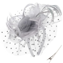 DRESHOW Fascinators Hat Flower Mesh Ribbons Feathers on a Headband and a Clip Tea Party Headwear for Girls and Women