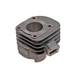 50cc Cylinder Kit Suitable for Yamaha Neos Jog R, MBK Mach G, Aprilia SR 50 WWW 2T - Complete Set Including Gasket Kit & Piston Rings