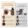 Chestnut Brown Hair Dye Shampoo 3 in 1, Shampoo para