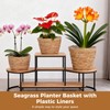 6 Pcs Plant Baskets Indoor with Plastic Liners, Wicker Hand
