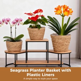 6 Pcs Plant Baskets Indoor with Plastic Liners, Wicker Hand Woven Plant Baskets, Flower Pots Storage Containers in 3 Sizes, Decorative Planters for Home, Balcony, Office