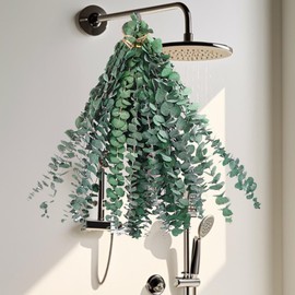 12 PCS Eucalyptus for Shower,17" Natural Fresh Hanging Eucalyptus Stems,Real Eucalyptus Leaves Branches for Vase Filler,Ideal for Vase Filler, Bathroom Aromatherapy, Wedding Decor