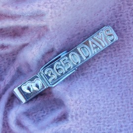 William Sturt 3650 Day Wedding Gift Hand Cast Clothes Peg Fridge Magnet