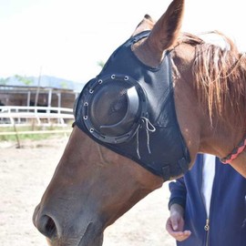 경주마 아이마스크 가리개 모래 방지 보호 [블루벨트] Racehorse Eye Mask Cover Sand Prevention Protection [Blue Belt]