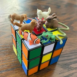 Safari - Animal Pets, Multicoloured (S100257)