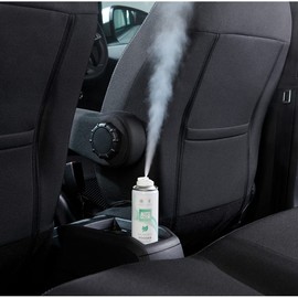 Autoglym Spearmint Fogger 150ml
