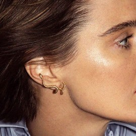 Snake Earrings for Women Gold Snake Stud Earrings Personality Creatiive Snake Shaped Animal Fashion Ear Jewelry (Snake Earrings)…