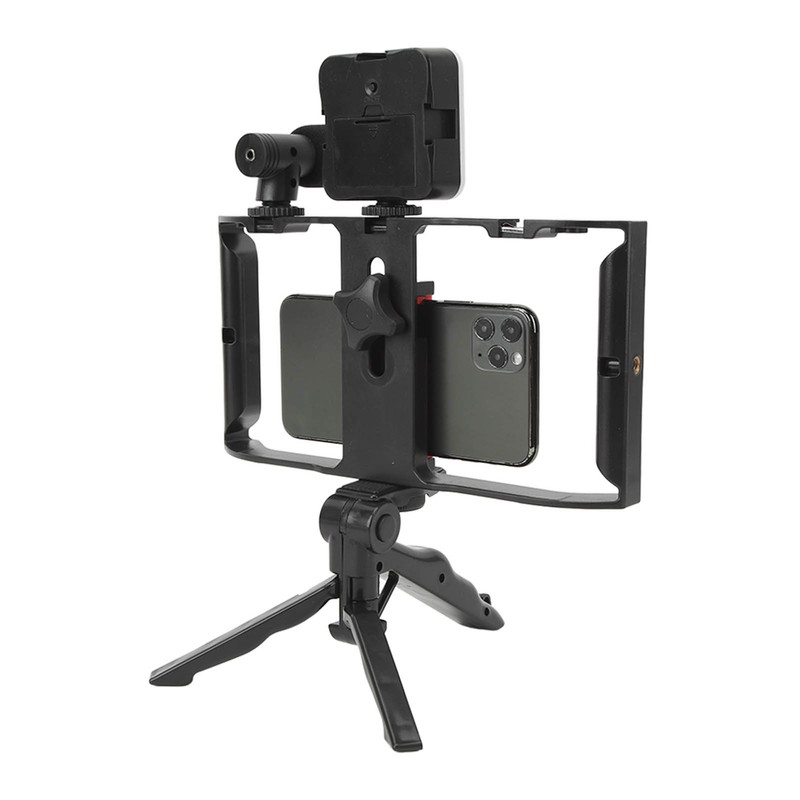 Phone Live Streaming Kit with Fill Light Microphone Sound Cable