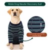 Kuoser Dog Bodysuit After Surgery for Medium Dogs Pyjamas, One-Piece