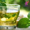 Alebrixes | Boldua Leaves Herbal Tea (4oz)| Premium Quality Whole