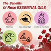 Rose Essential Oil Pure Organic Rose Oil for Diffuser, Perfume,