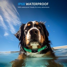 Upgraded AirTag Dog Collar, IP68 Waterproof Air Tag Dog Collar Holder, Reflective, Ultra-Durable, Comfortable Padded, Heavy Duty Dog Collars for Small Medium Large Dogs (L (14.8"-20.3"), Teal)