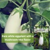 Sow Right Seeds - Casper Eggplant Seeds for Planting -