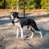 EzyDog Trail-Ready Saddle Bags for The Convert Dog Harness (Not