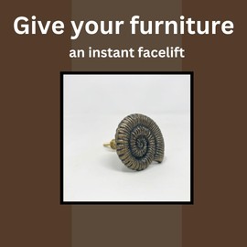 Antique Bronze Sea-Life Marine Nautical Drawer Knobs, Bathroom, Cupboards, Dresser (1. Large Shell)