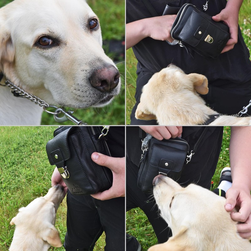 Fa.Volmer UrbanWalker Leather Case with Multiple Pockets | Belt Loop