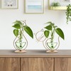 Plant Terrarium Propagation Station Gifts for Women Cat Lover