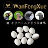 10 Pcs Fake Eggs, Bird Toys, Small Birds, Solid Fake