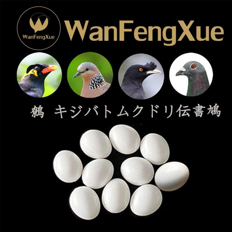 10 Pcs Fake Eggs, Bird Toys, Small Birds, Solid Fake